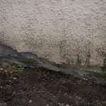 Close-up of damp pebble-dash render on Liverpool house