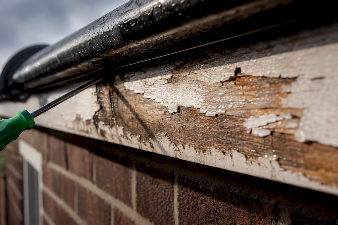 Spot Fascia Rot Early: Paint Failure and 1/8 Inch Gaps for UK